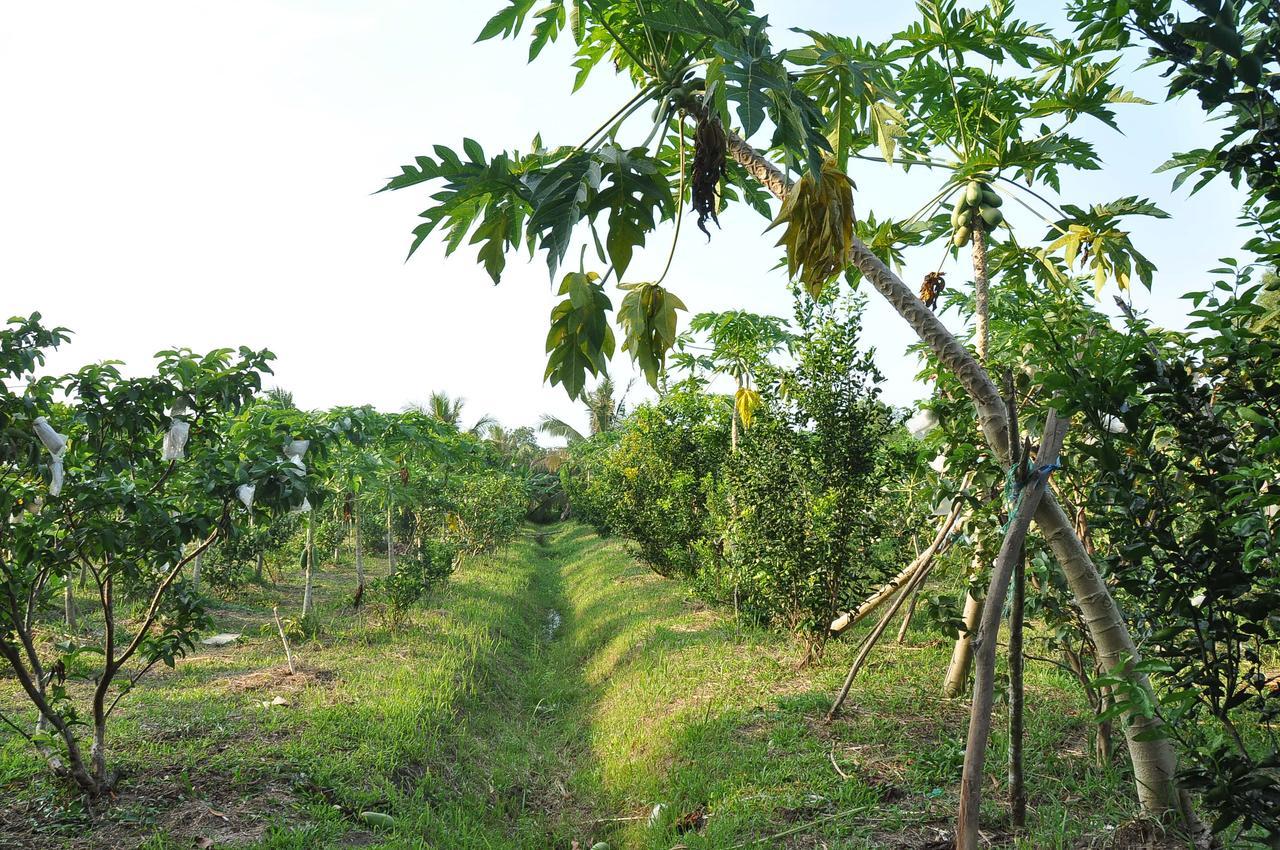Orchard Fruit Farm Bungalow Phu Quoc Exteriör bild