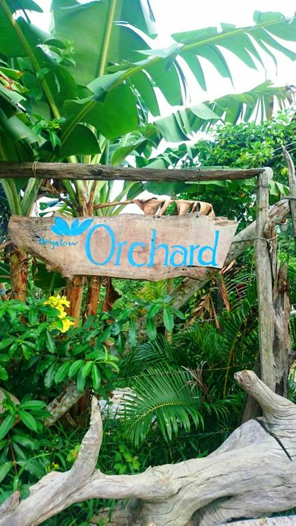 Orchard Fruit Farm Bungalow Phu Quoc Exteriör bild