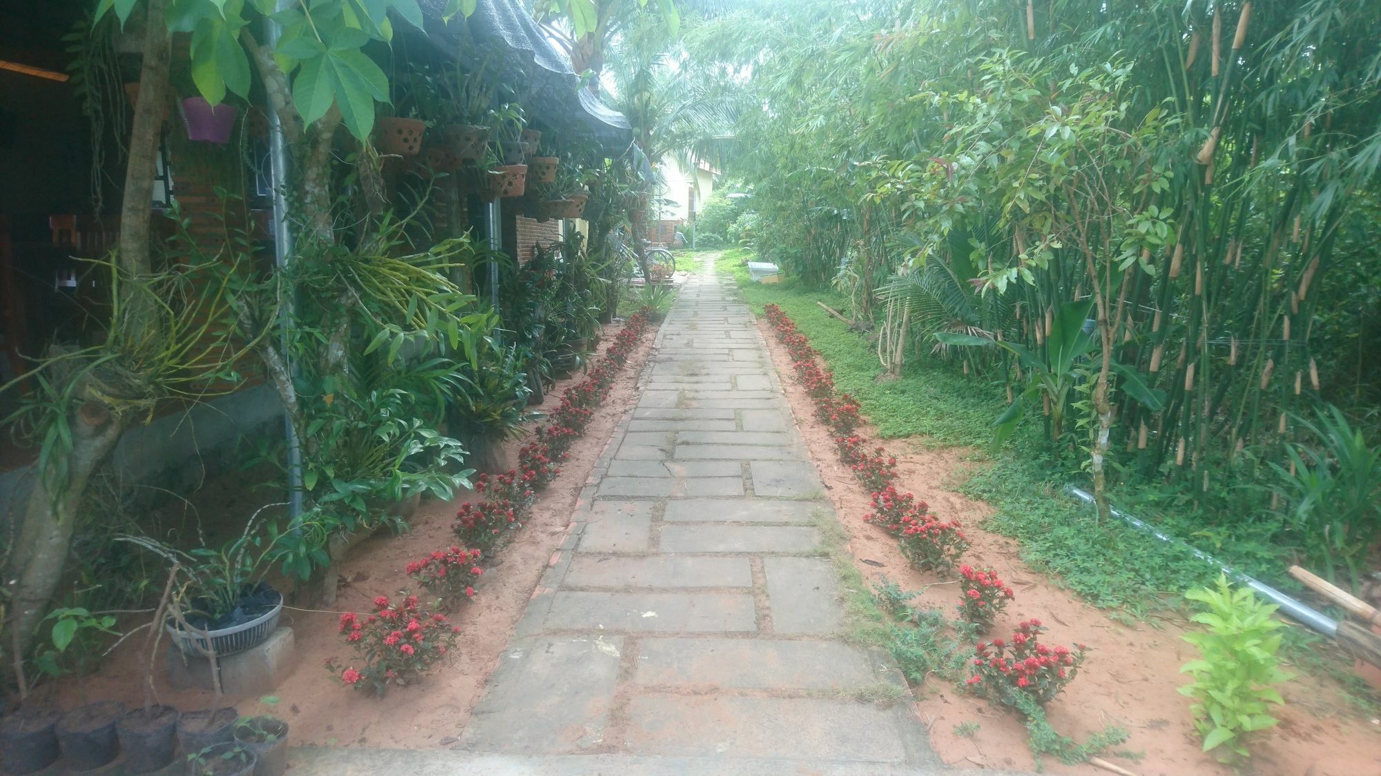 Orchard Fruit Farm Bungalow Phu Quoc Exteriör bild