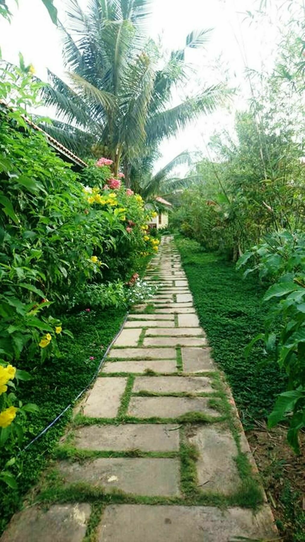 Orchard Fruit Farm Bungalow Phu Quoc Exteriör bild